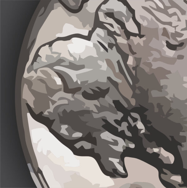 Buffalo Nickel Portrait - Image 4