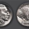 Indian Head Nickel Portrait