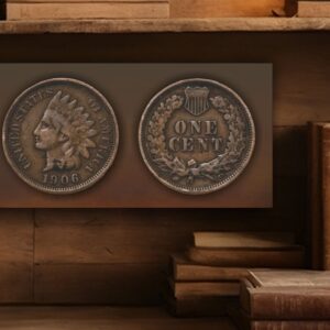 Indian Penny Portrait in home settining.